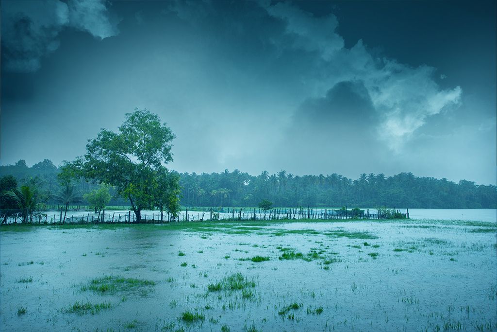 தமிழகம், கேரளாவில் தென்மேற்குப் பருவமழை தொடங்க வாய்ப்பு… வானிலை மையம் தகவல்