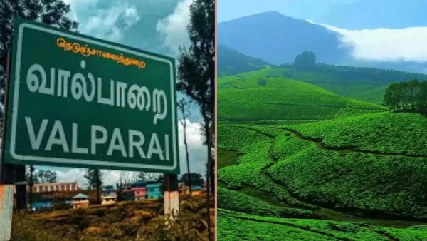 வால்பாறை சுற்றுலாப் பயணிகளுக்கு இன்று முதல் இ-பாஸ் கட்டாயம்: சுற்றுச்சூழல் பாதுகாப்பு நோக்கம்!
