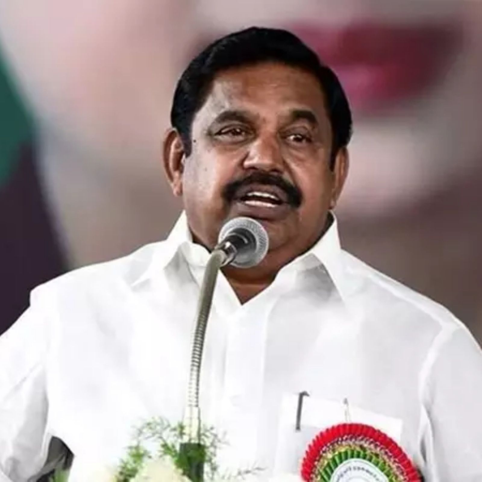 "ஆர்வத்துடன் வருகிறார்கள்" - த.வெ.க. கொடி விவகாரம் குறித்து எடப்பாடி பழனிசாமி கருத்து!