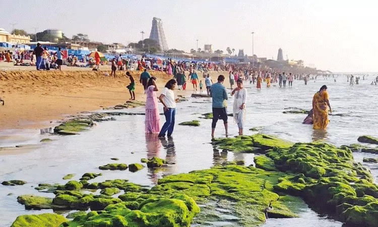 திருச்செந்தூரில் திடீர் கடல் உள்வாங்கல்: 100 அடி தூரம் வரை நிலப்பரப்பு தெரிந்தது! – பக்தர்கள் மத்தியில் பரபரப்பு
