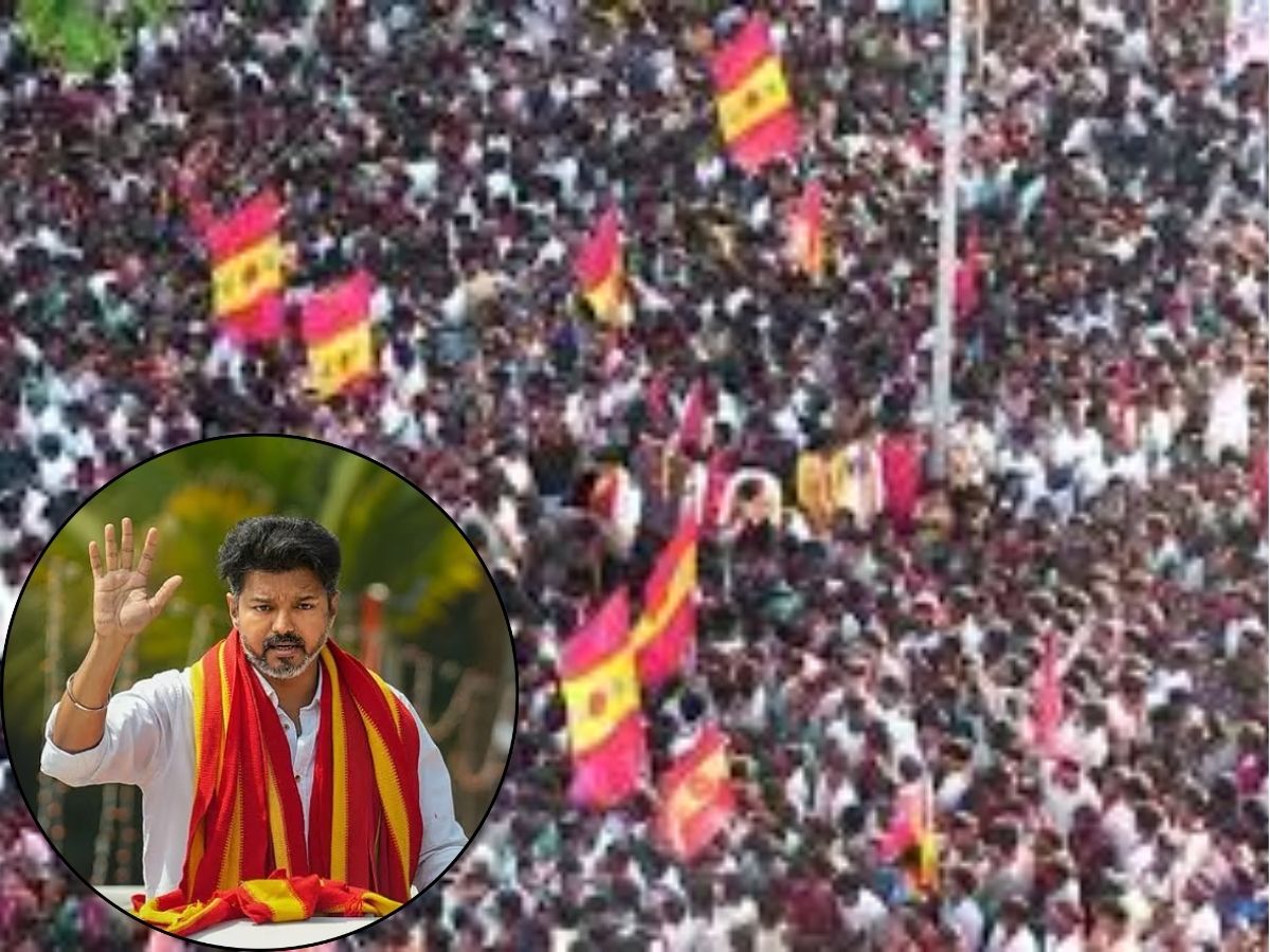 "10,000 பேர் வருவார்கள் என எப்படி கூறினீர்கள்?" - கரூர் விபத்து வழக்கில் த.வெ.க. நிர்வாகியிடம் நீதிபதி கேள்வி!